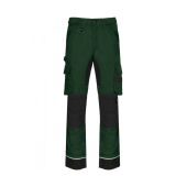forest green/black