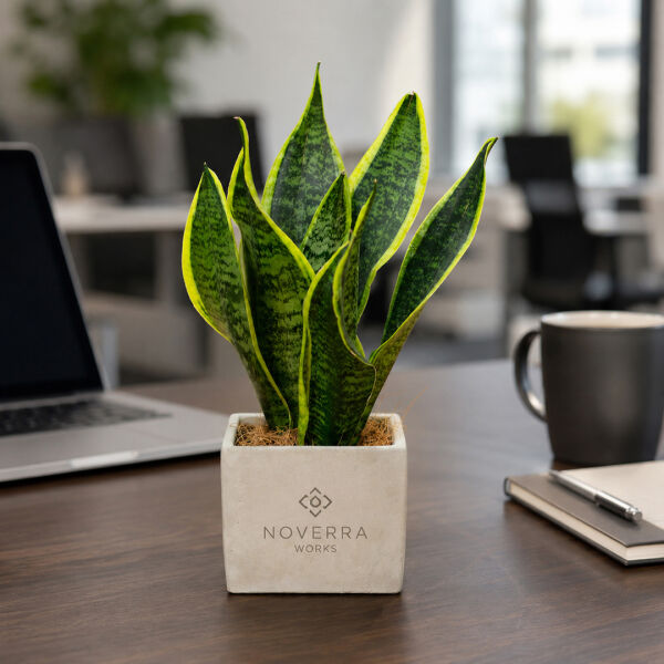 Congreet® plantpots large, Zonder verpakking Congreet® plantpots large, Zonder verpakking