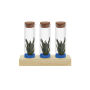 Tiny Treasurez® - Trio tube & wood, Blauw