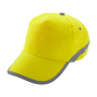Vikap - baseball pet