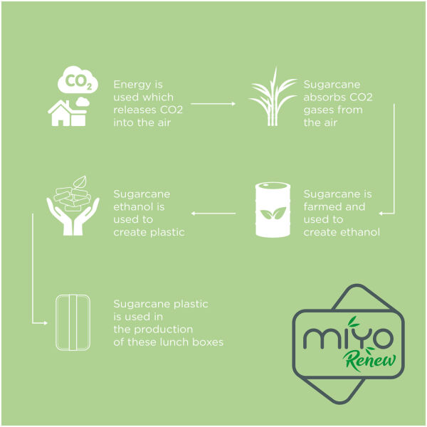 MIYO Renew enkellaagse lunchtrommel - Zeeglasgroen/Kiezelgrijs