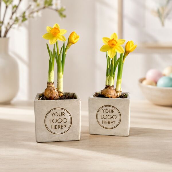 Congreet® plantpots small - Spring edition, Zonder verpakking Congreet® plantpots small - Spring edition, Zonder verpakking