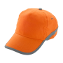 Vikap - baseball pet