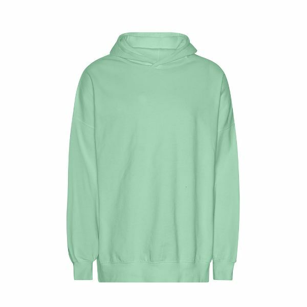 Neutral Tiger Cotton Oversized Hoodie_Dusty Mint_XS Neutral Tiger Cotton Oversized Hoodie_Dusty Mint_XS