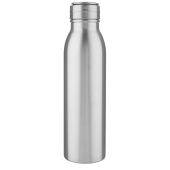 Harper 700 ml roestvrijstalen drinkfles met metalen lus - Zilver