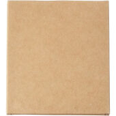 Screech set van 4 krijtjes - Natuur