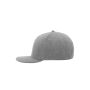 6 Panel Pro Cap Style grey/grey one size
