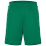 Basic Team Shorts green/white S