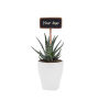 Tiny Greenz with ChalkNotes, Zonder verpakking, Easy care mix