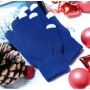 Touchscreen handschoenen OPERATE blauw