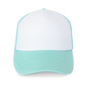 White / Pastel Cyan