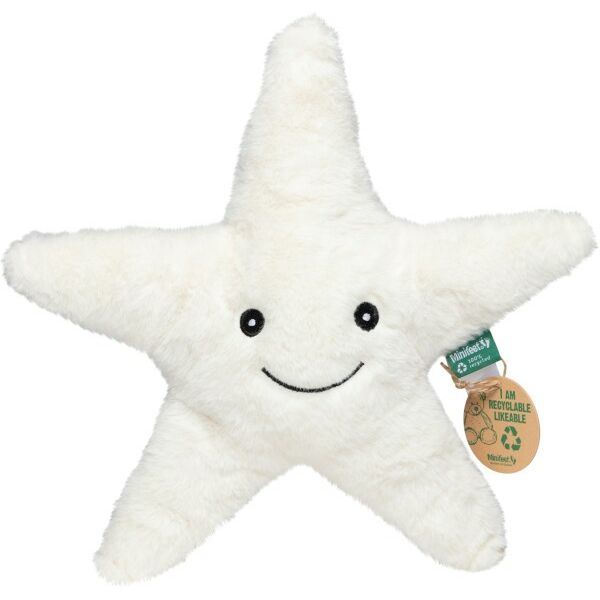 RecycelStarfish RecycelStarfish