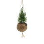 Kokodama® - Christmas tree (S), Zonder verpakking
