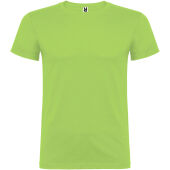 Oasis Green
