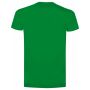 BS Evolution t-shirt, 150 gr/m² - Kelly Green