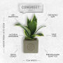 Congreet® plantpots, Zonder verpakking