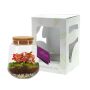 Wardians® Ecosystem - Conical medium, Zonder verpakking