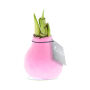 No Water Flowers® - Waxz® Colours, In luxury box, Pastel roze
