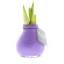 No Water Flowers® - Waxz® Colours, In luxury box, Pastel paars