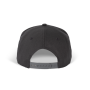 Snapback Pet - 5 Panelen Dark Grey / Light Grey One Size