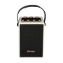 BRAINZ Retro Speaker Wit