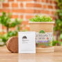 Paas Minituintje In Een Cup  - Lentebloemen