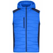 blue/navy