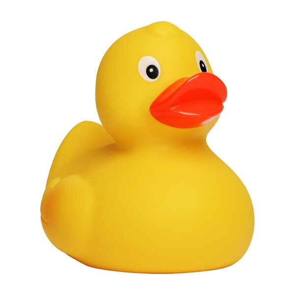 Squeaky duck classic