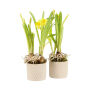Easter braided ceramic small - Narcis, Zonder verpakking