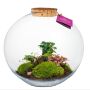 Wardians® Ecosystem - VIP Wardians® Ecosystem - VIP