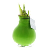 Lichtgroen