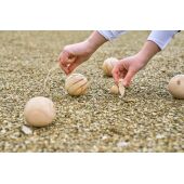Houten balspelset Quillian bruin