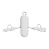 Urban Vitamin Dublin 100W 4 -in-1 keychain cable, wit