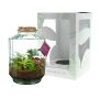 Wardians® Ecosystem - Stripe large, Zonder verpakking