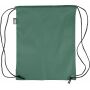 rPET polyester (210D) drawstring backpack Calix green