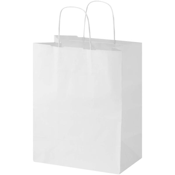 Kraft papieren tas 80–90 g/m² met gedraaide handvatten – 25 x 15 x 32 cm Kraft papieren tas 80–90 g/m² met gedraaide handvatten – 25 x 15 x 32 cm