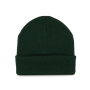 Muts met Thinsulate™ -voering Forest Green One Size