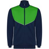 Navy Blue/Fern green
