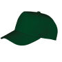 Boston cap Bottle One Size