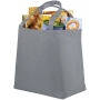 Maryville non woven draagtas 28L - Grijs