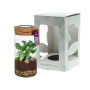 Wardians® Ecosystem - Cylinder small + Solar LED, Zonder verpakking