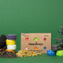 HappySoaps - Mini Shampoo Bars - 6 stuks HappySoaps - Mini Shampoo Bars - 6 stuks