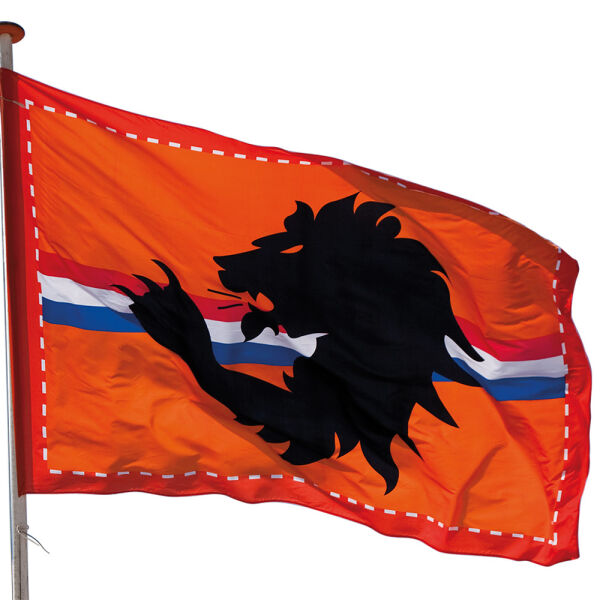 Reuze Oranje Stadionvlag Leeuw 200 x 300 cm