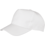 Boston pet White One Size
