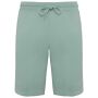 Ecologische herenbermuda jade green 4XL