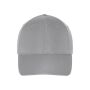 6 Panel Cap silver