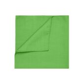 Bandana lime-green