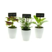 ChalkNotes® - Green mix