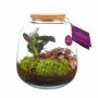 Wardians® Ecosystem - Sphere medium, Zonder verpakking