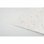 ASIDA - Visitekaartje van wilde bloemen - Wit